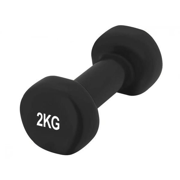 Набір гантелей в кейсі 9 кг. PowerPlay 4121 Fitness Dumbells (2шт.*1кг. 2шт.*1,5кг. 2шт.*2кг.) PP_4121_9kg фото