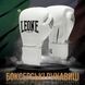 Боксерські рукавиці Leone GN111 THE GREATEST White 10 унцій (бинти 4 м. в комплекті) GN111_White_10oz фото 2