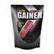 Gainer - 1000g Wild Berry 2023-10-6109 фото 1